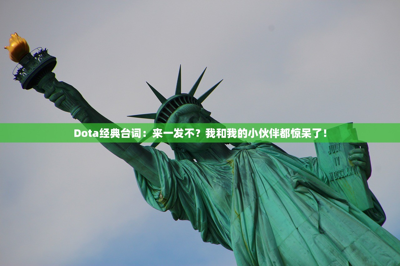 Dota经典台词：来一发不？我和我的小伙伴都惊呆了！